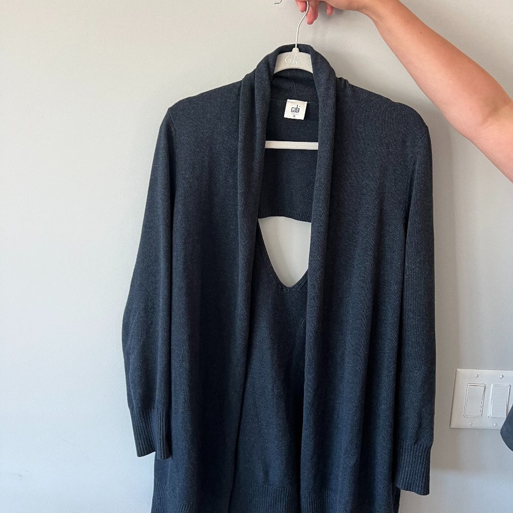 Cabi Navy Sweater
